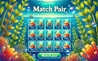 Image Match Pair
